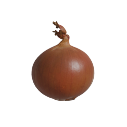 Yellow Onion